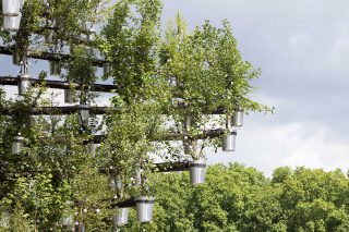 Queens Green Canopy Tree of Trees - made by millimetre with Heatherwick Studio