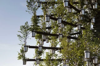 Queens Green Canopy Tree of Trees for Thomas Heatherwick